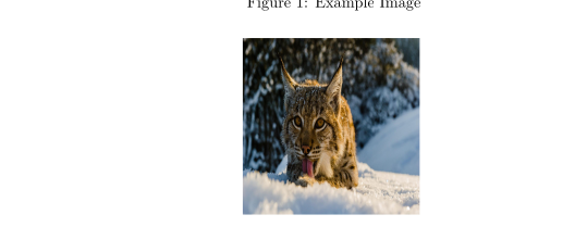 lynx2.png